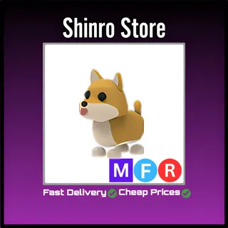 Mfr Shiba Inu