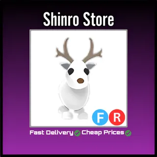 Fr Arctic Reindeer