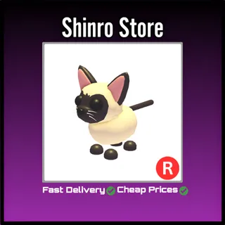 R Siamese Cat