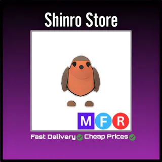 Mfr Robin