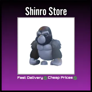 Silverback Gorilla