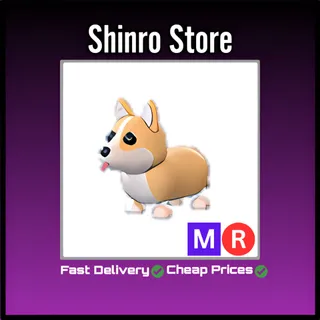 Mr Corgi