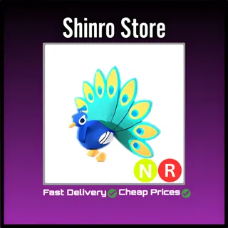 Nr Peacock
