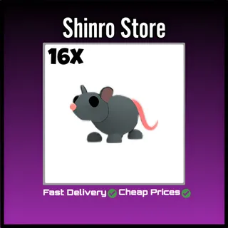 Rat 16x