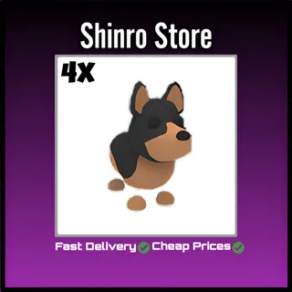 Australian Kelpie 4x