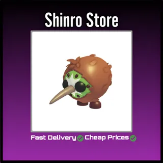 Kiwi Kiwi