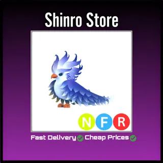 Nfr Frost Phoenix