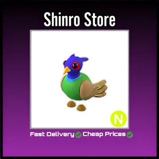 Neon Green-Chested Pheasant