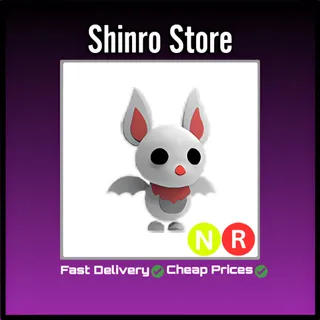 Nr Albino Bat