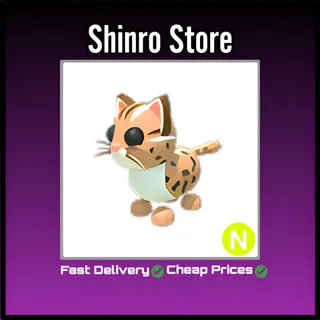 Neon Leopard Cat
