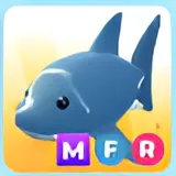 MFR SHARK