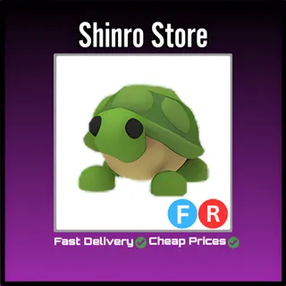 Fr Turtle