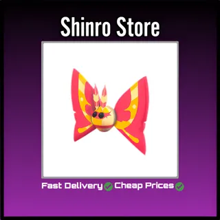 Rosy Maple Moth