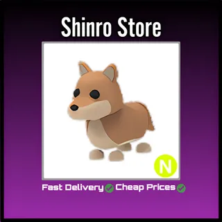 Neon Dingo