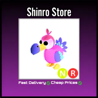 Nr Dodo