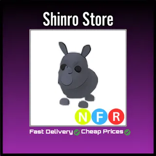 Nfr Rhino