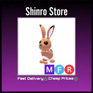 Mfr Hare