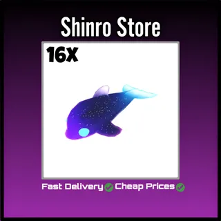 Glormy Dolphin 16x