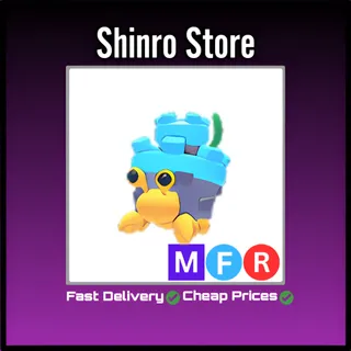 Mfr Castle Hermit Crab