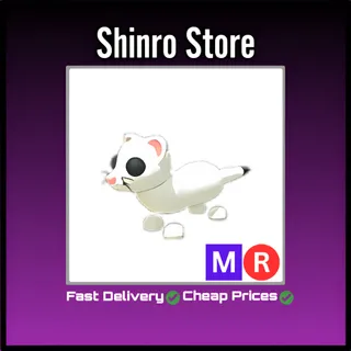 Mr Ermine