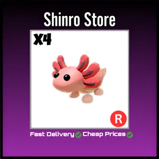 R Axolotl x4