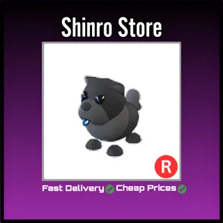 R Black Chow-Chow