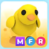 ADOPT ME MFR CHICK