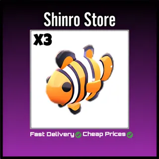 Clownfish x3