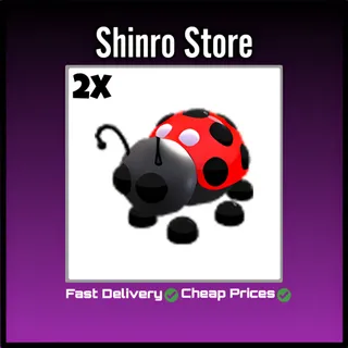 Ladybug 2x