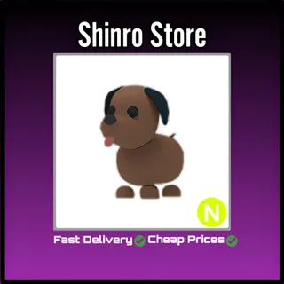 Neon Chocolate Labrador