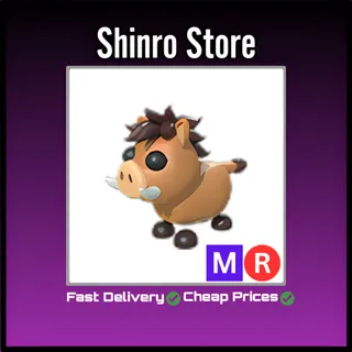 Mr Warthog