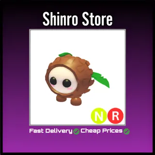 Nr Coconut Friend