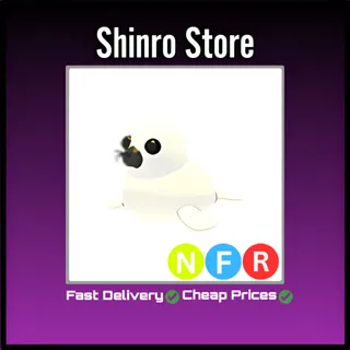 Nfr Harp Seal