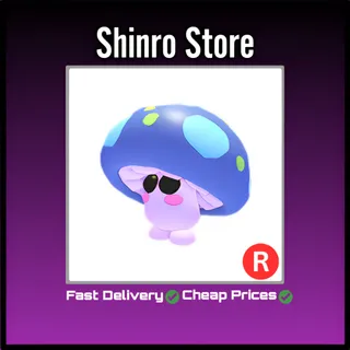 R Mushroom Friend