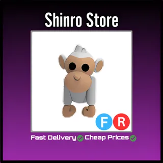 Fr Albino Monkey