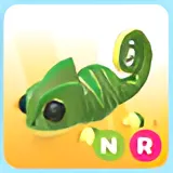 NR CHAMELEON