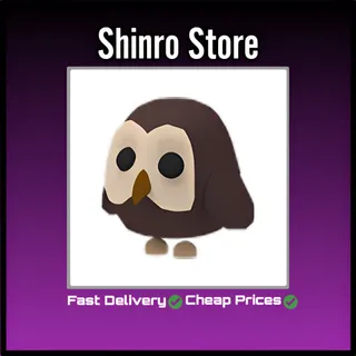 Owl