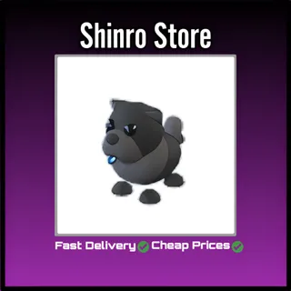 Black Chow-Chow