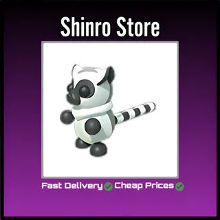 Ring-Tailed Lemur