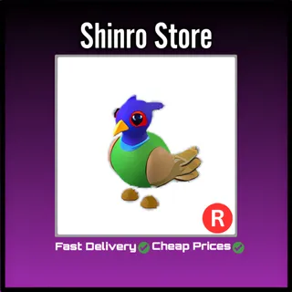 R Green-Chested Pheasant