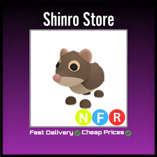 Nfr Shrew