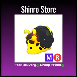 Mr Magma Snail