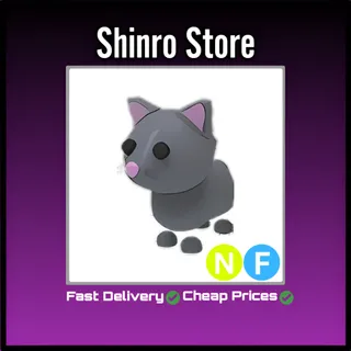 Nf Cat