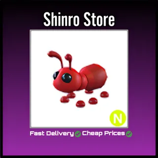 Neon Ant