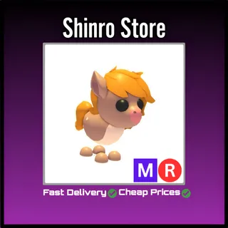 Mr Show Pony
