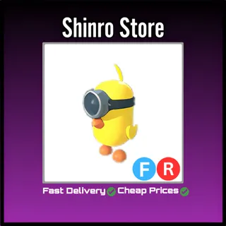 Fr Zodiac Minion Chick