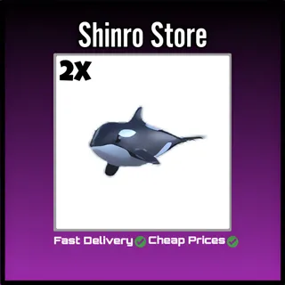 Orca 2x