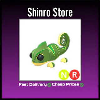 Nr Chameleon