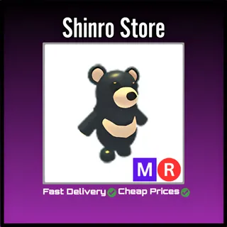 Mr Black Moon Bear