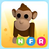 ADOPT ME NFR MONKEY